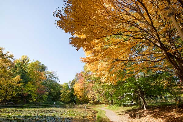 Hokkaido University 北海道大學