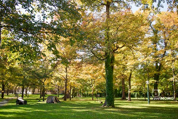 Hokkaido University 北海道大學