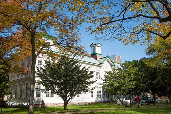 Hokkaido University 北海道大學