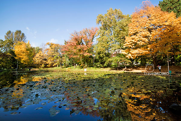 Hokkaido University 北海道大學