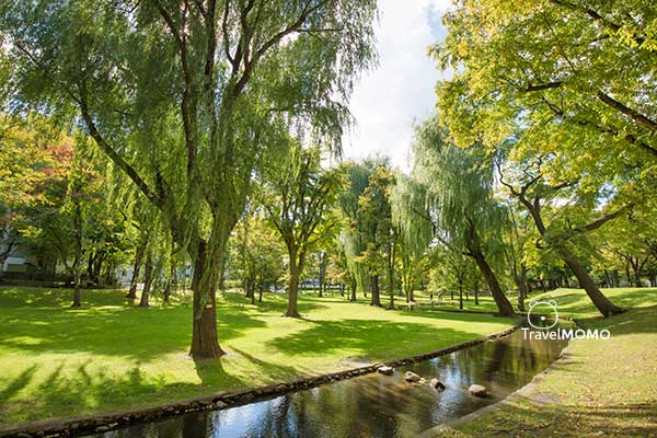 Hokkaido University 北海道大學