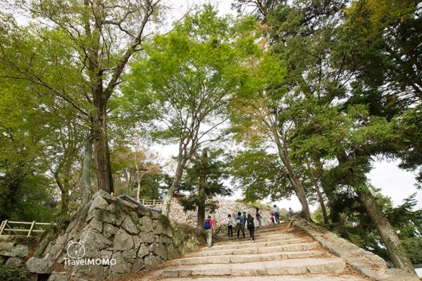 Bitchu Matsuyama Castle 備中松山城
