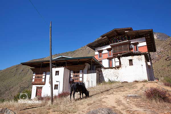 Tamchog Llhakang 譚楚廟