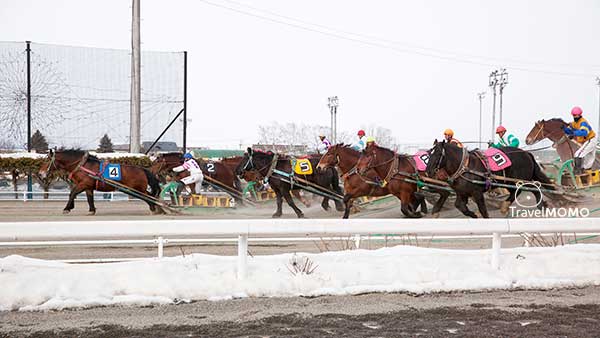 Obihiro Racetrack 帶廣賽馬場
