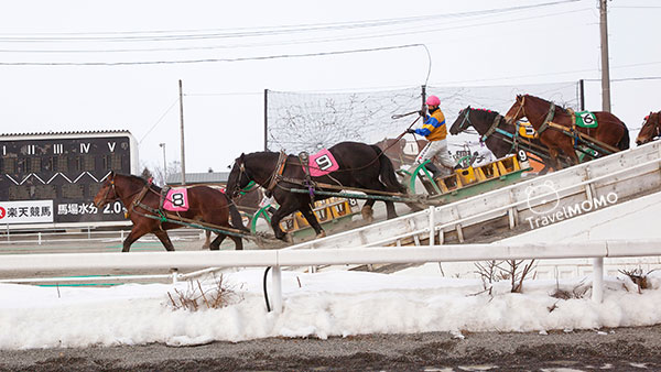 Obihiro Racetrack 帶廣賽馬場