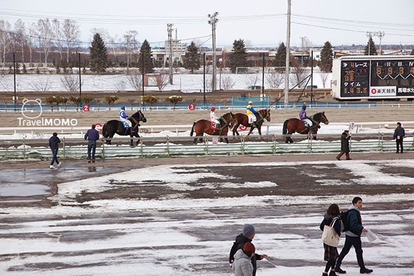 Obihiro Racetrack 帶廣賽馬場