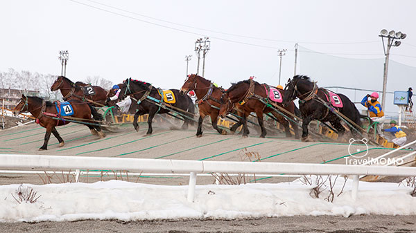 Obihiro Racetrack 帶廣賽馬場