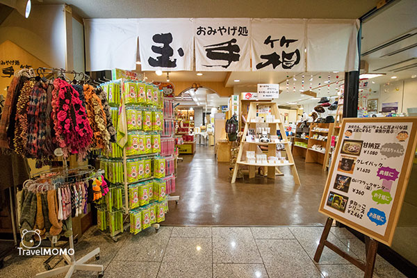 Tokachigawa Hot Spring Dai-ichi Hotel 十勝川溫泉第一酒店
