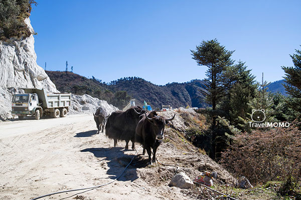 West to Central Highway in Bhutan 不丹西部至中部公路