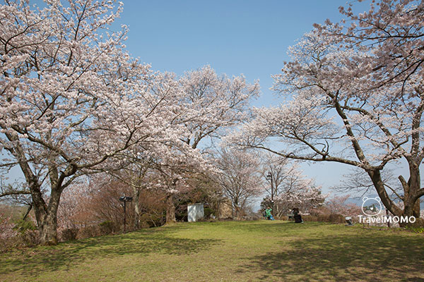Yoshinoyama Naka-senbon 吉野山中千本