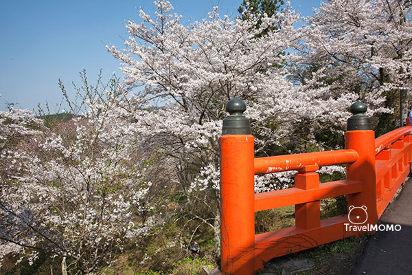 Yoshinoyama Shimo-senbon 吉野山下千本