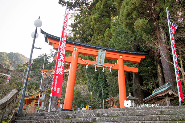 Nachi Taisha Grand Shrine 那智大社