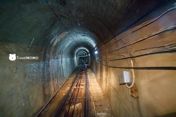 Tateyama Kurobe Alpine Route Pass 立山黑部阿爾卑斯路線周遊券