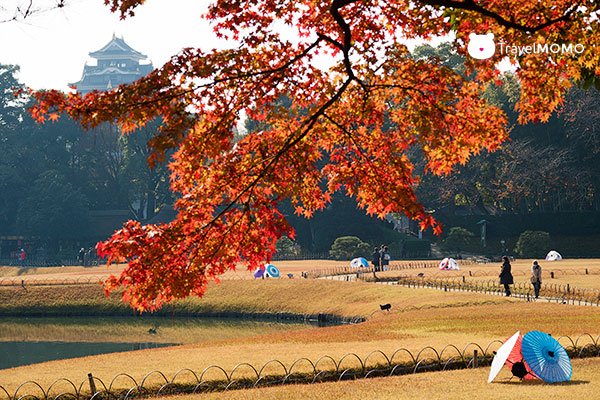 Okayama Korakuen Garden 岡山後樂園