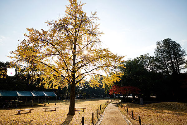 Okayama Korakuen Garden 岡山後樂園