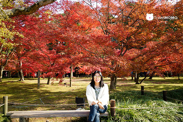 Okayama Korakuen Garden 岡山後樂園