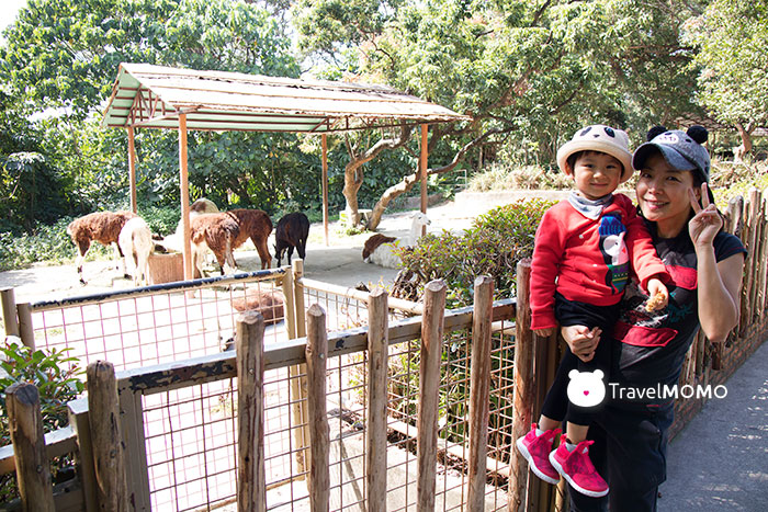Shenzhen Safari Zoo 深圳野生動物園