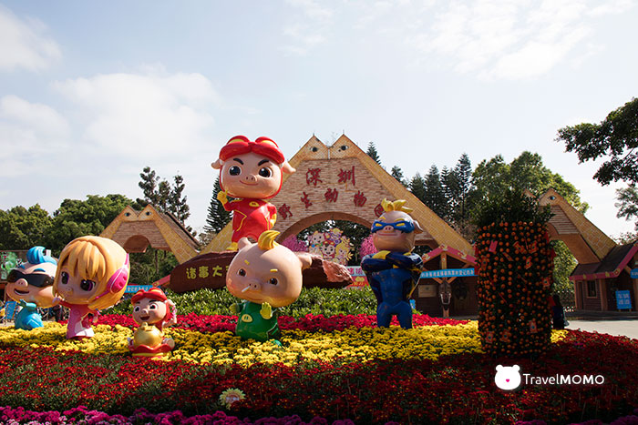 Shenzhen Safari Park 深圳野生動物園